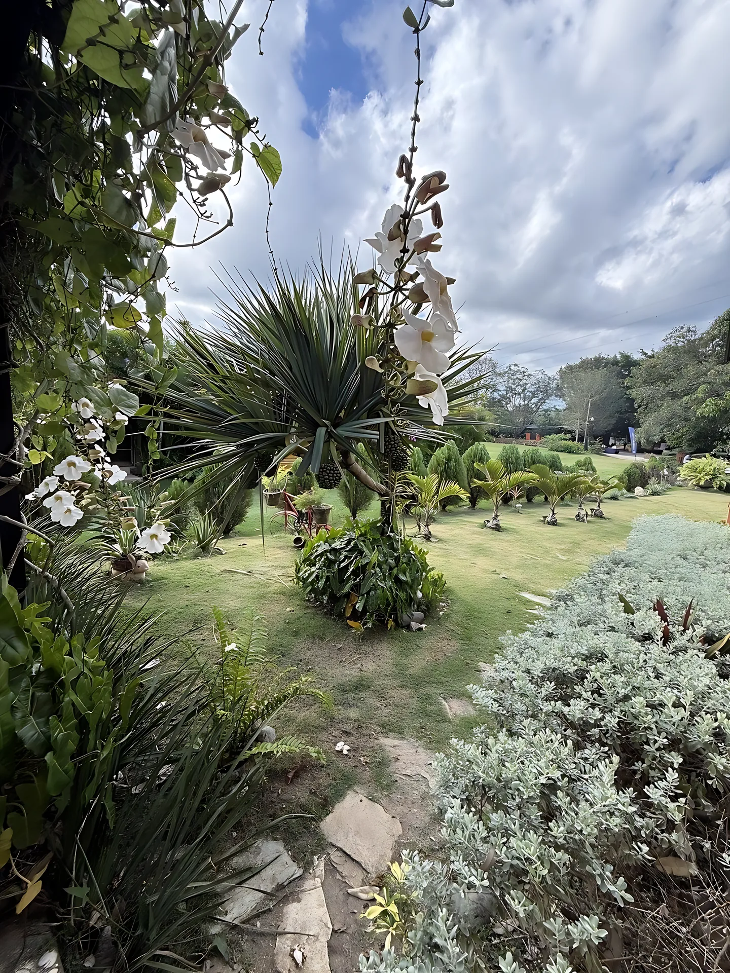 Preciosa finca vacacional y de recreo en venta. A solo 45 minutos de la ciudad. - View 2