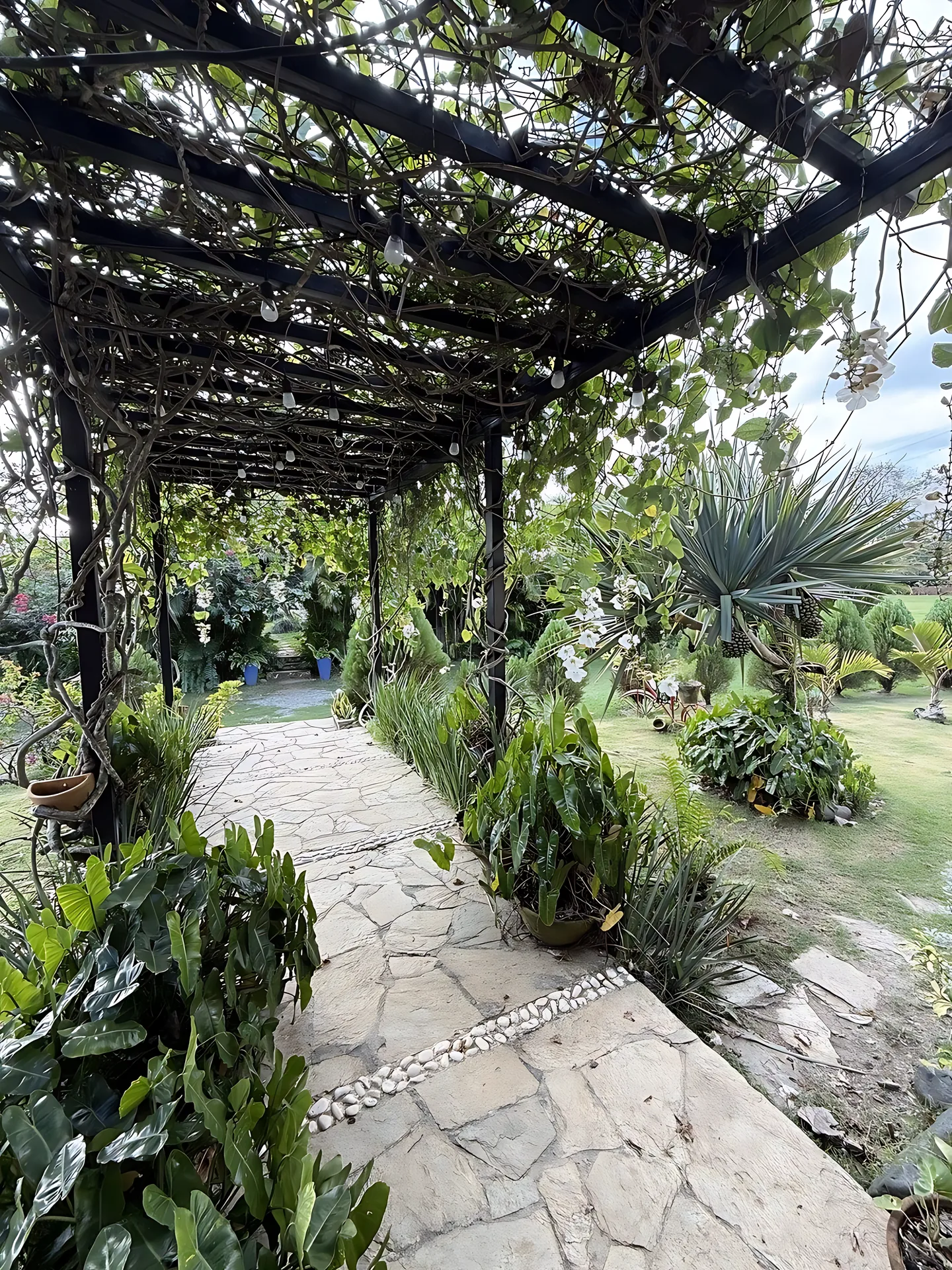Preciosa finca vacacional y de recreo en venta. A solo 45 minutos de la ciudad. - Foto 6