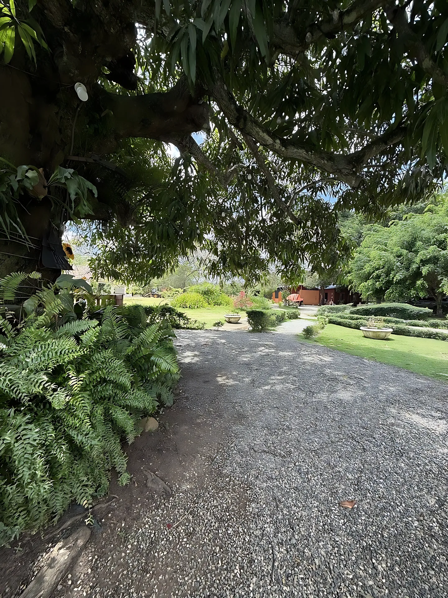 Preciosa finca vacacional y de recreo en venta. A solo 45 minutos de la ciudad. - Foto 34