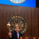 Photo of Mike Haridopolos
