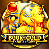 BOOK OF GOLD DOUBLE CHANCE