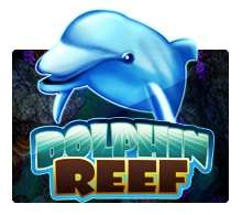 DOLPHIN REEF