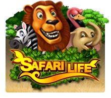 SAFARI LIFE