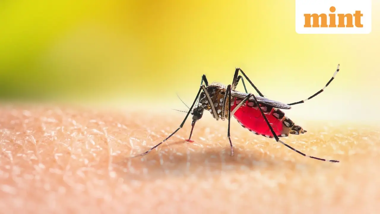 Centre Enhances Dengue Surveillance Amid Monsoon and El Niño Concerns