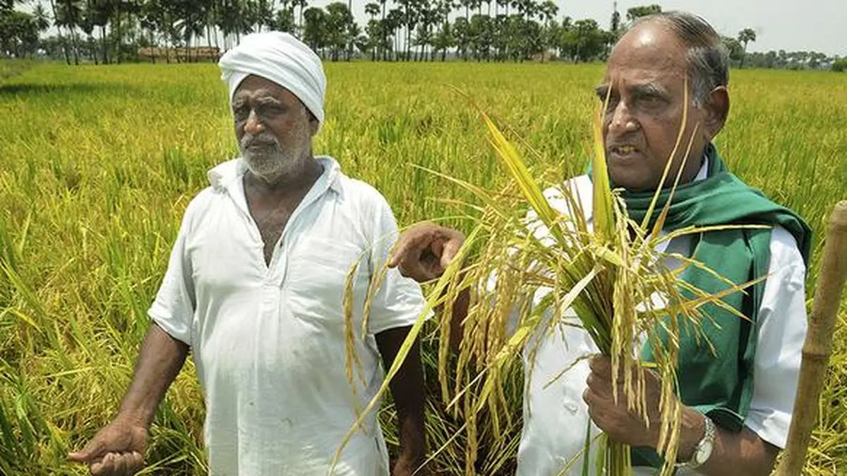 Andhra Pradesh Records 10.7% Economic Growth in Q2 of 2025-26