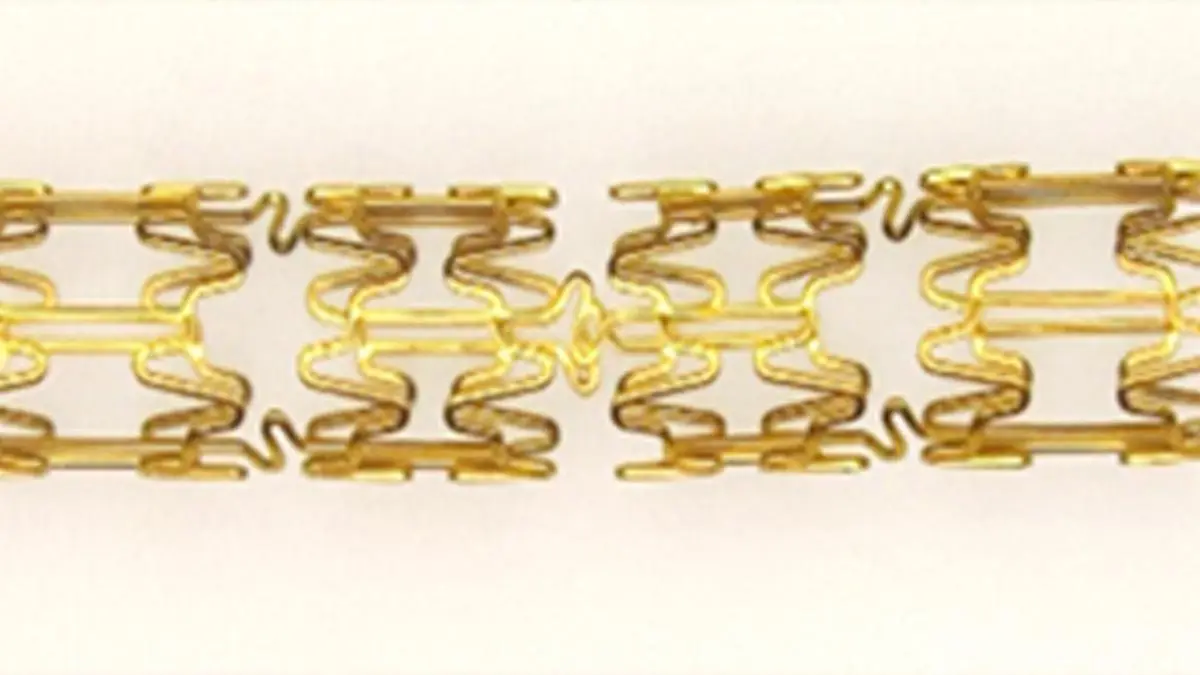 SCTIMST Unveils Chitra Core, India's First Indigenous Coronary Stent