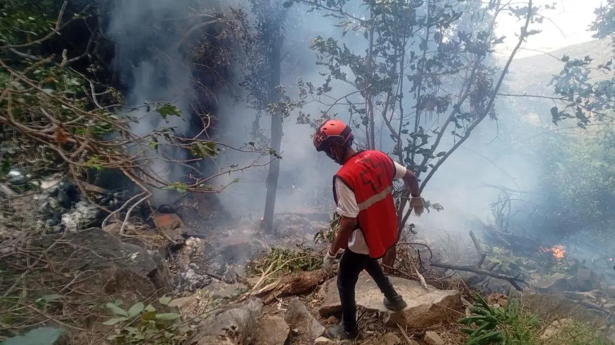 Kenya Helicopter Crash Kills Ecuador Intel Chief and Five Americans