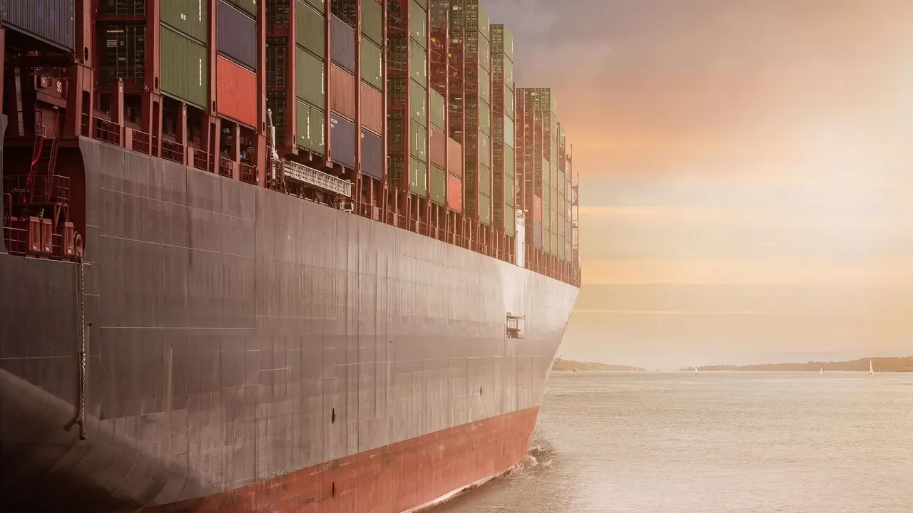 Panama-flagged Cargo Ship with Mostly Chinese Crew Sinks off Odisha Coast