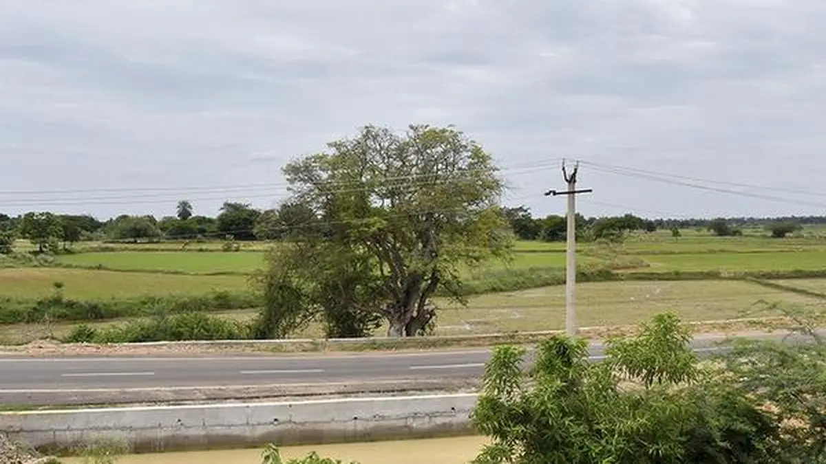 Tamil Nadu Govt Drops Parandur Airport Project, Plans Terminal 5 at Chennai Airport