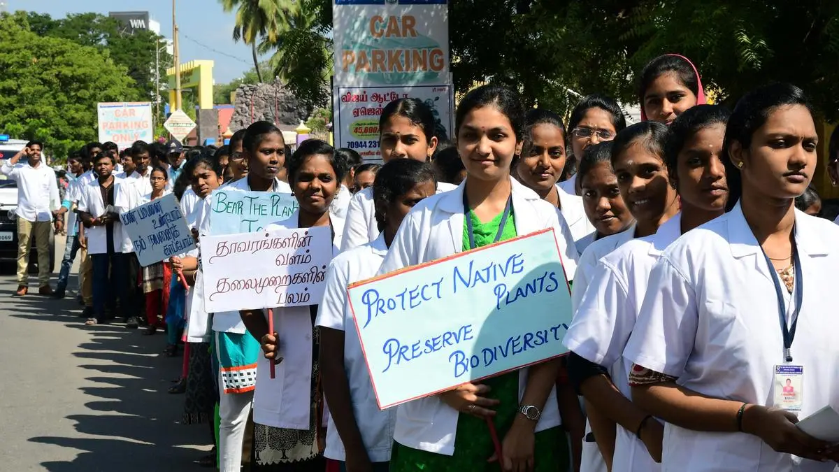 Non-Government Colleges Lead India's AYUSH Education Growth by 2024