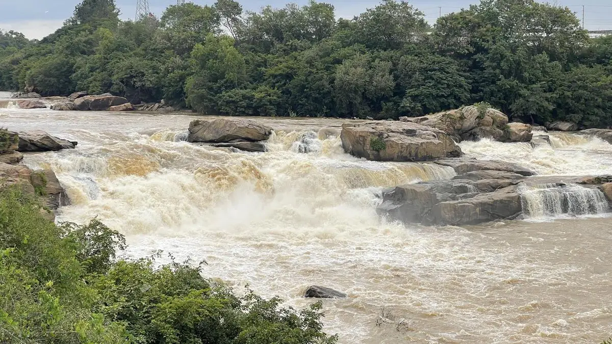 Karnataka to Comply with CWMA Order on Cauvery Water Release to Tamil Nadu