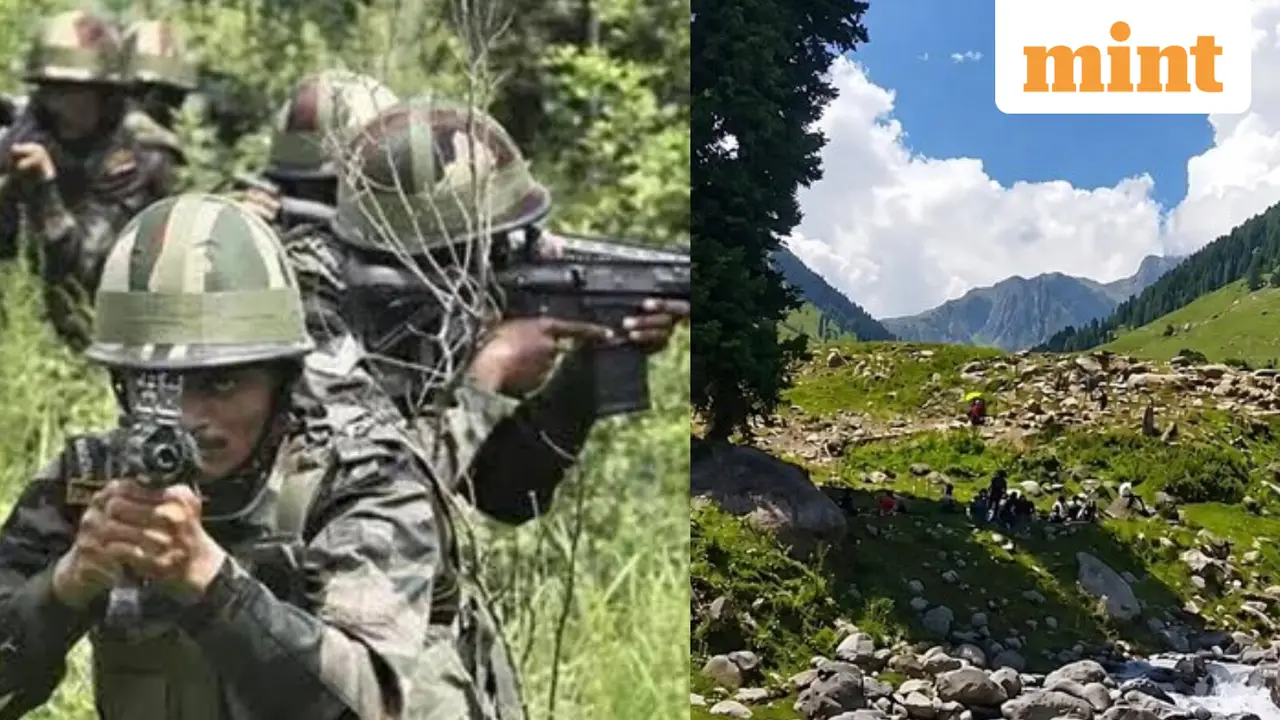 Two Jaish-e-Mohammad Terrorists Killed in Udhampur Security Operation