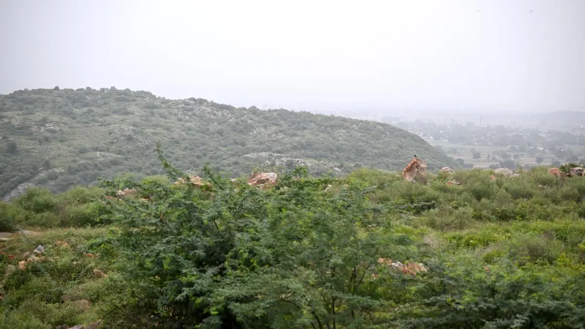 Supreme Court Sets November 30 Deadline for Aravalli Panel Final Report
