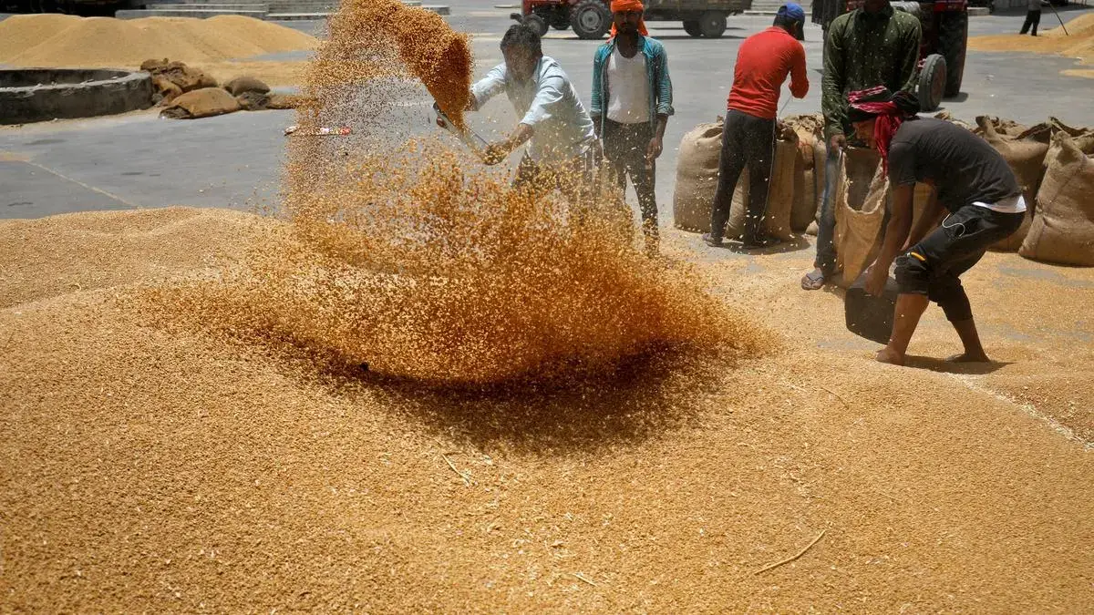 India Sets Food Production Target at 178 Million Tonnes for Rabi Season