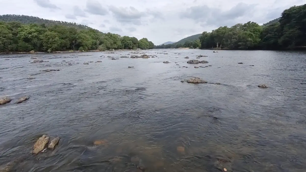 Tamil Nadu Justifies Demand for Clearing 16 TMC Ft Cauvery Water Backlog