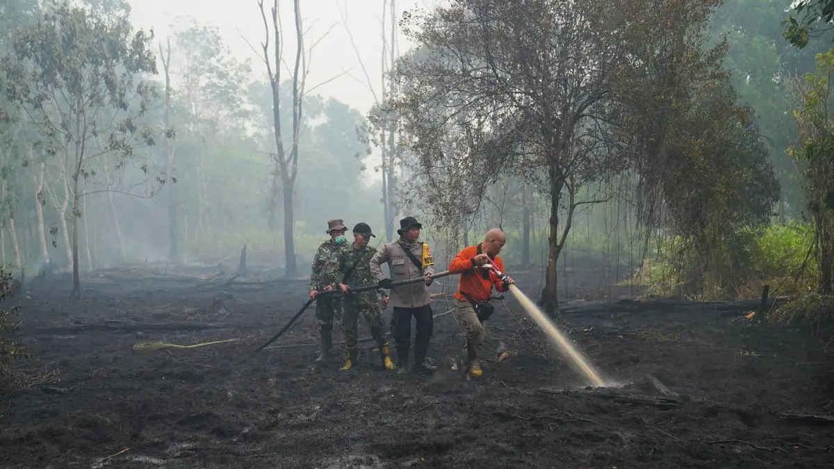 Super El Niño May Cause 15,800 Additional Heat Deaths in India: Report