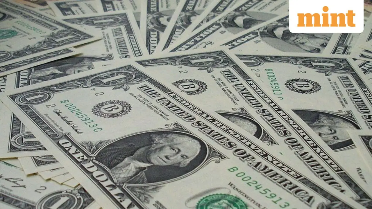 Cabinet to Decide on Revamped Bilateral Investment Treaty Template Soon