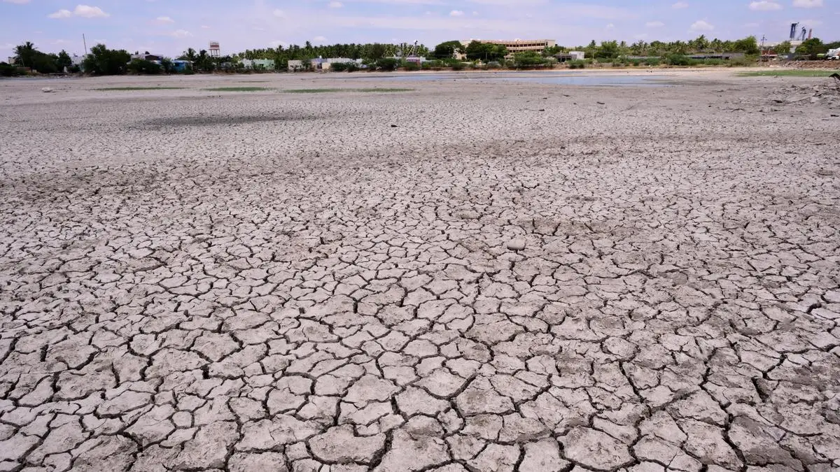 Tamil Nadu Identified as Pronounced Drought Hotspot in South Peninsular India