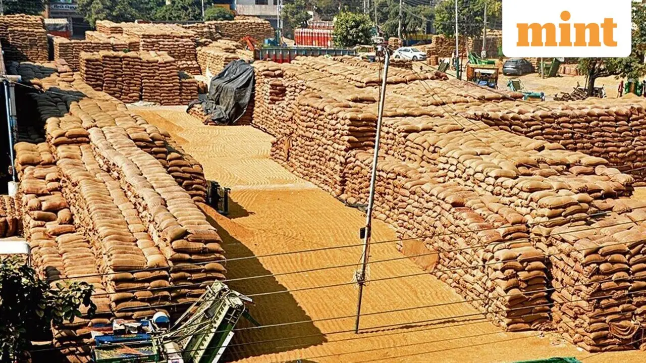 India Sets Lower Foodgrain Production Target for 2026-27 Crop Year