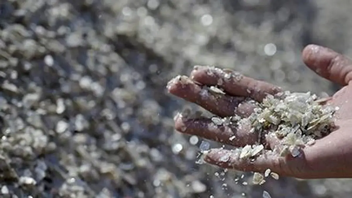 India and Chile Face Challenges Over Critical Minerals in CEPA Talks