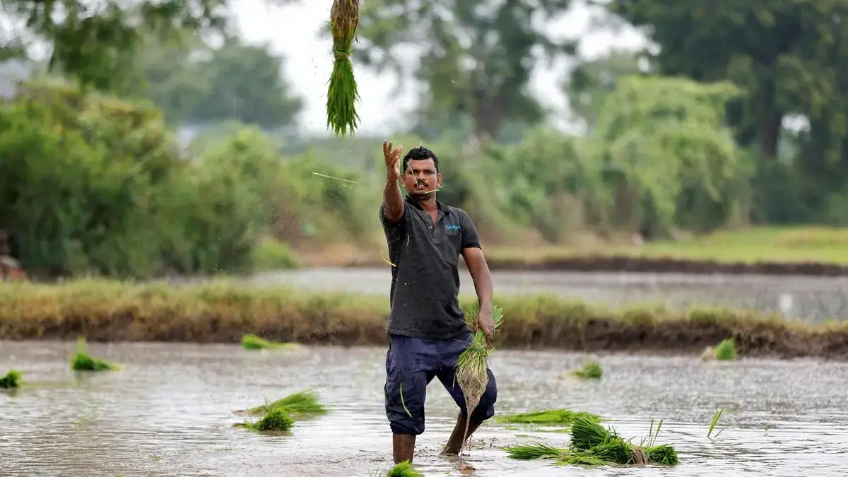 Gujarat to Release Water from Kadana Dam to Protect Kharif Crops Amid Rainfall Deficit