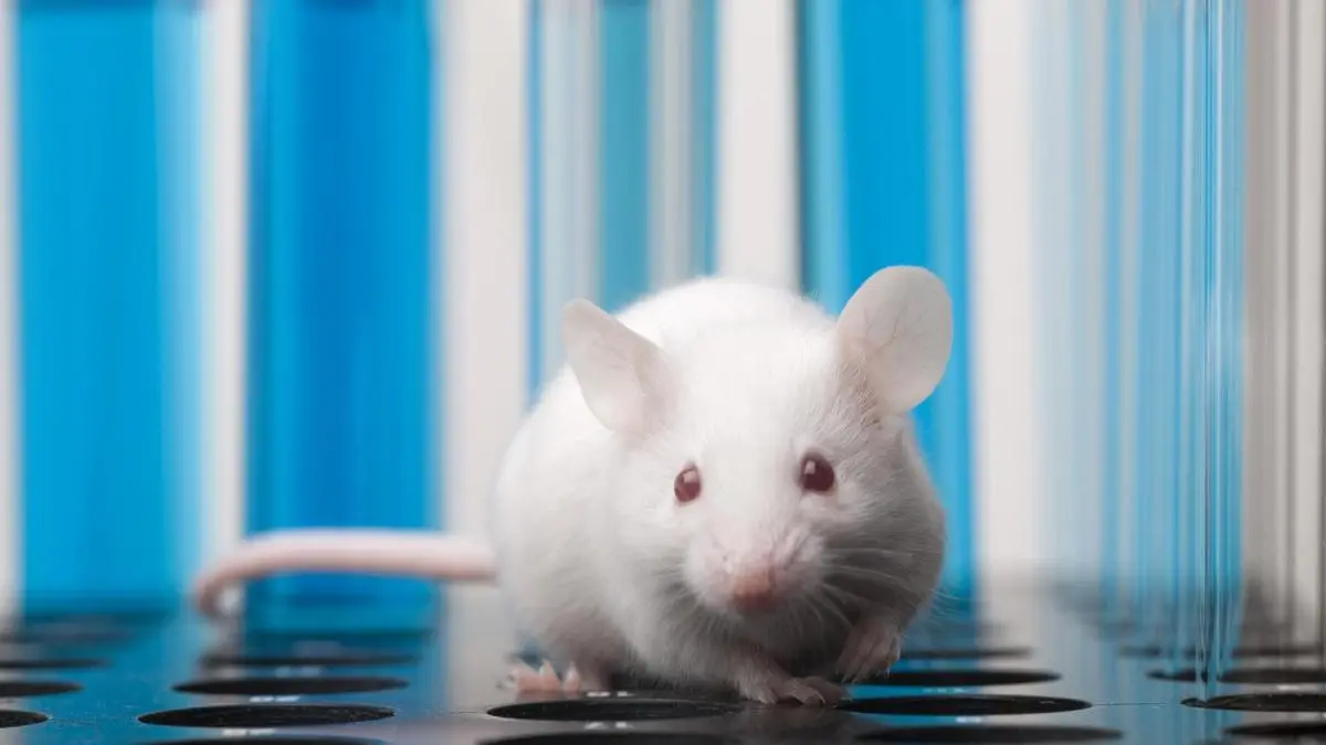 Study Proposes Adaptability Test to Identify Mammals Vulnerable to Climate Change