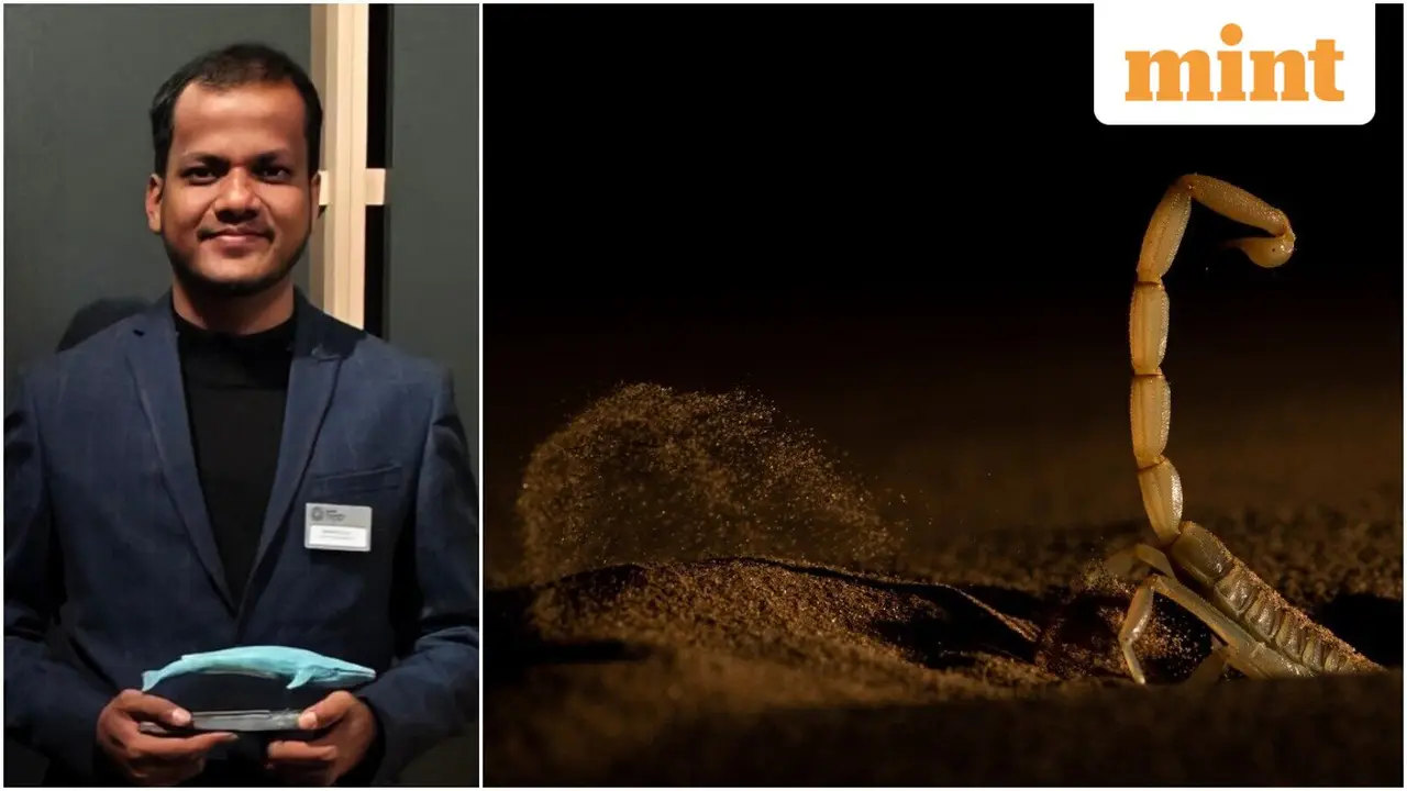 Sitaram Raul Wins Invertebrates Category at Wildlife Photography Awards