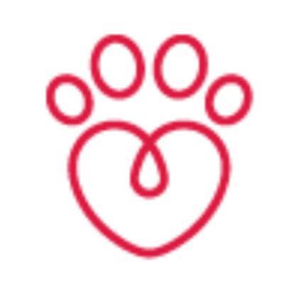 Profile of Passion 4 Paws, a pet sitter