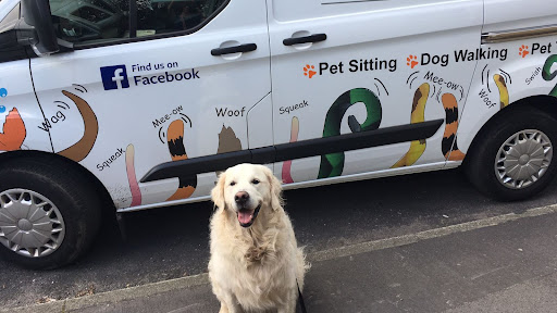 FBS PET SITTER & Walker and taxi SERVICES's cover image