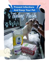 Bubbles pets salon's cover image