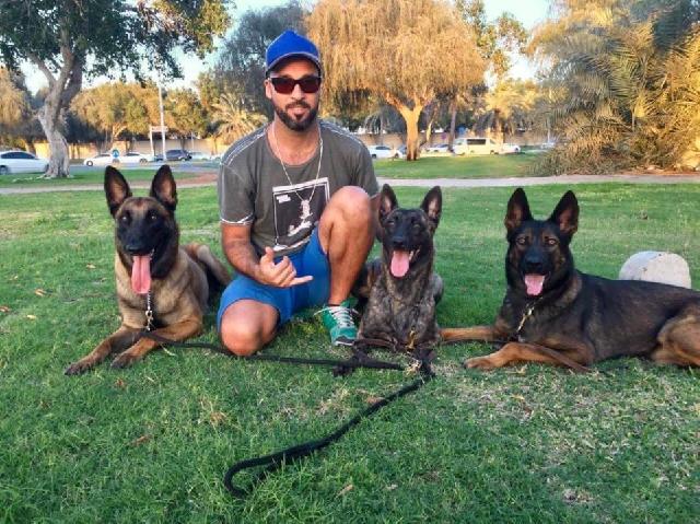 Dog Training Van aziz's cover image