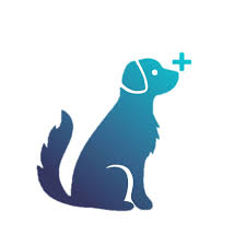 Profile of Dog Training Van aziz, a pet sitter