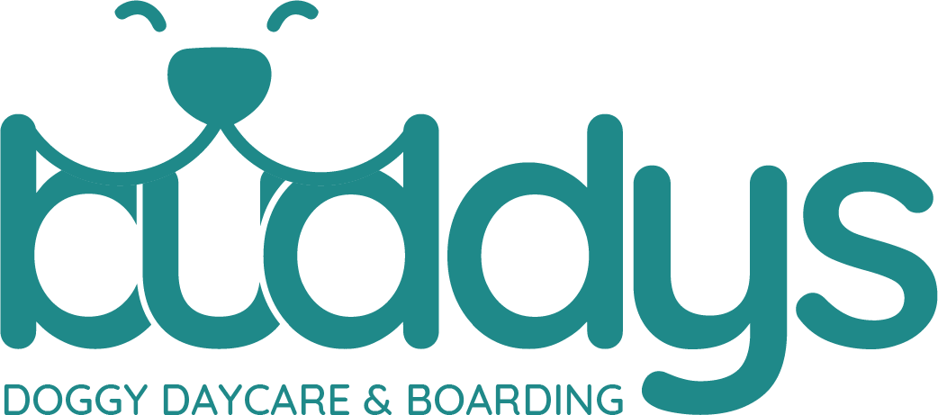 Profile of Buddys - Dog Daycare | Boarding | Grooming, a pet sitter