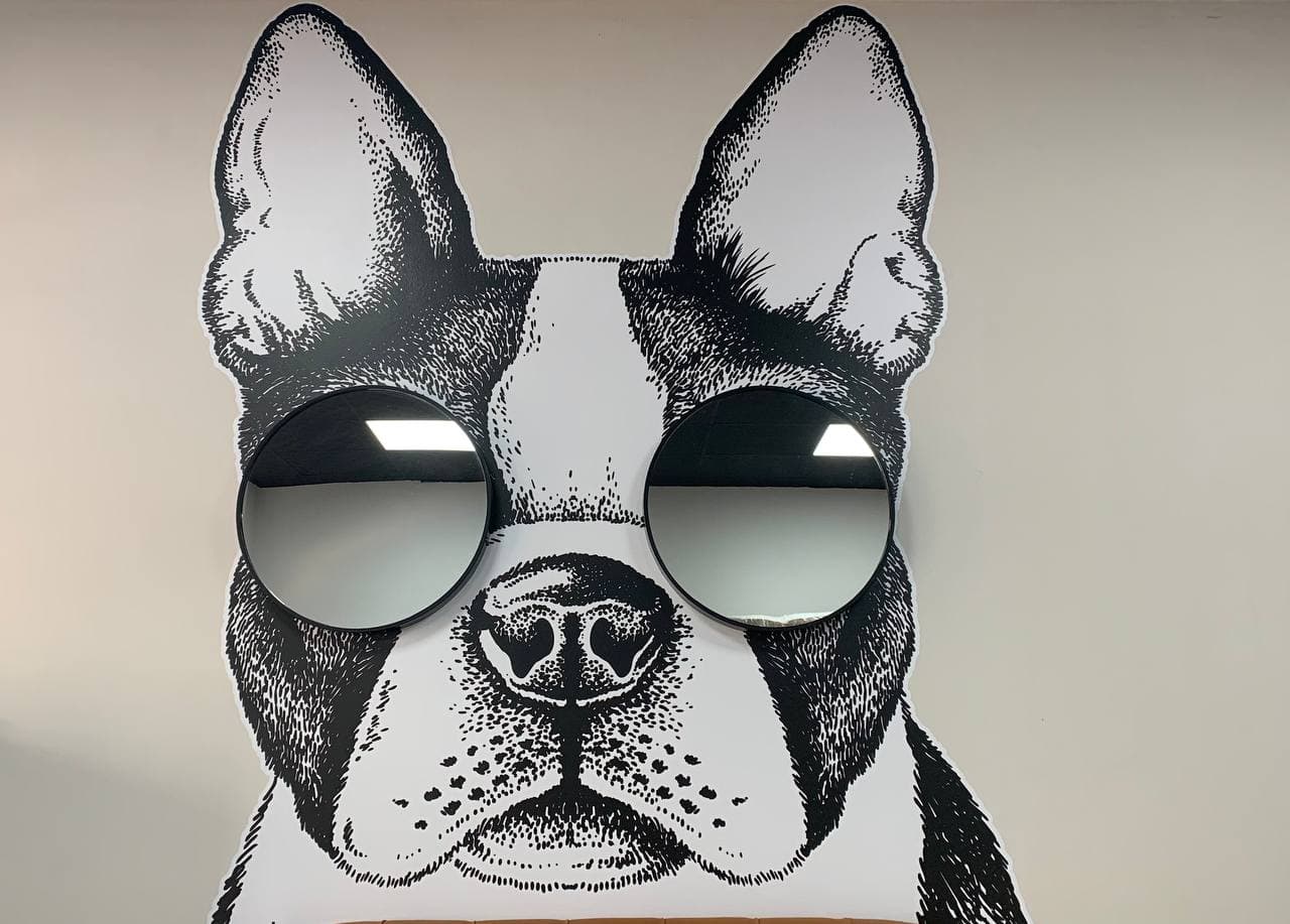 Bark Avenue UAE's cover image