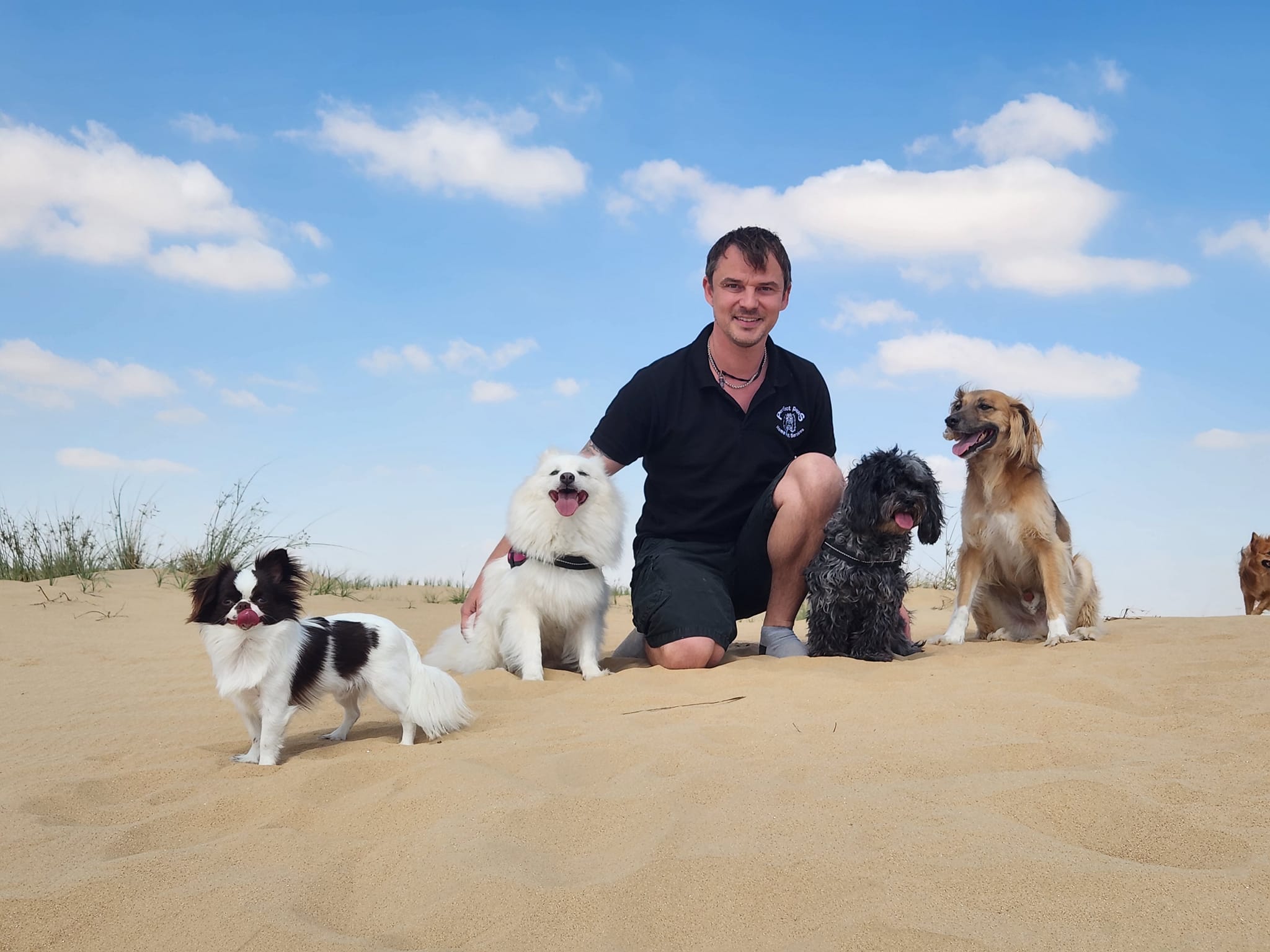 Perfect Paws Home Pet Services's cover image