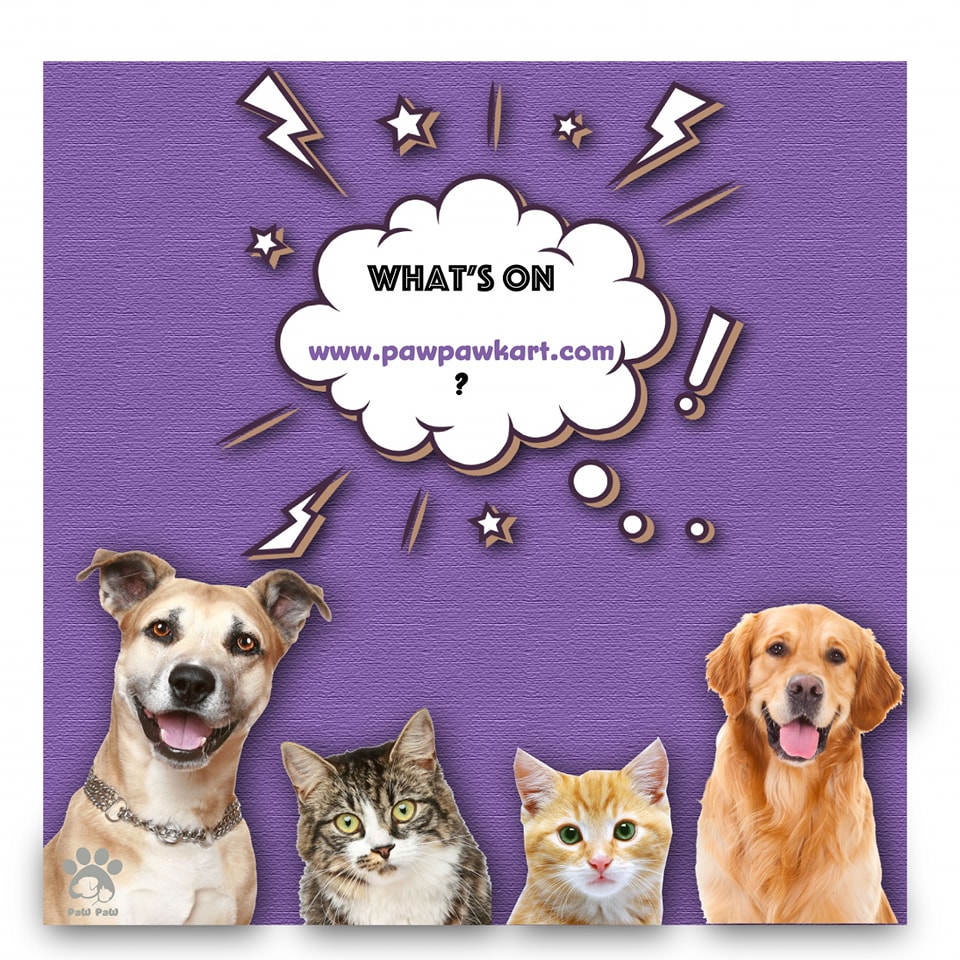 Profile of PawPaw Kart Head Office, a pet sitter