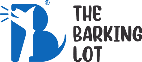 Profile of The Barking Lot | Al Quoz, a pet sitter