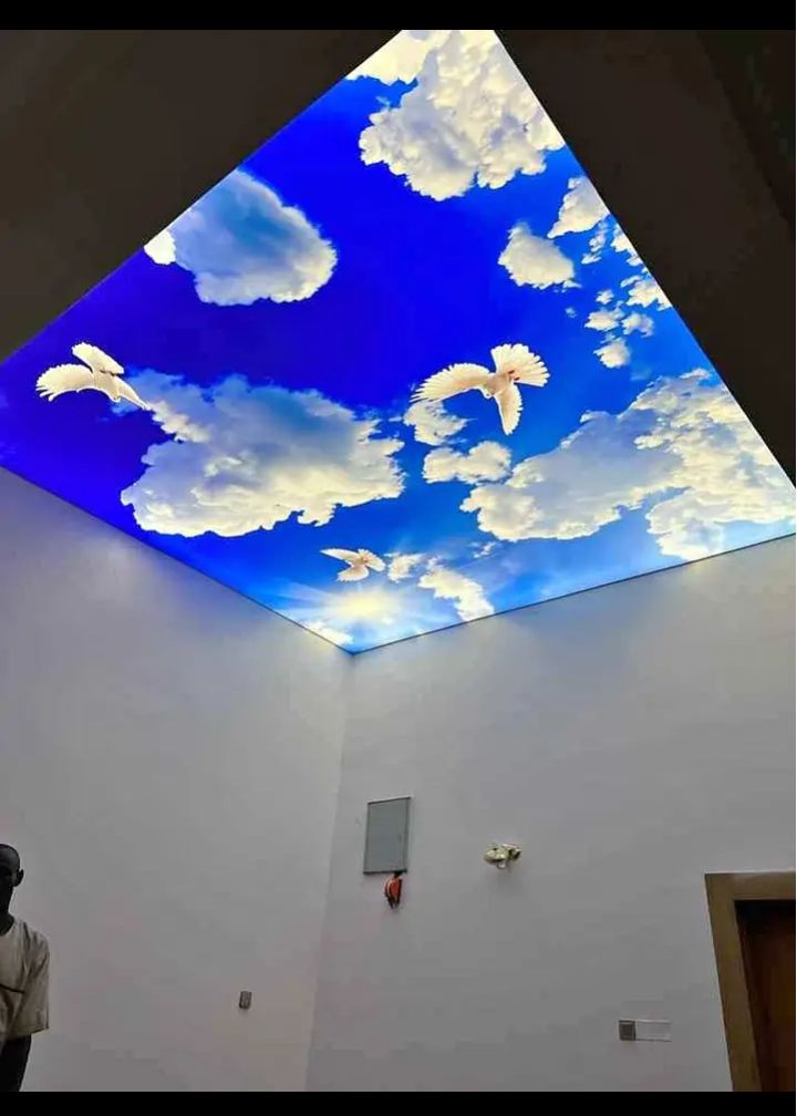 3d stretched ceiling decor  6