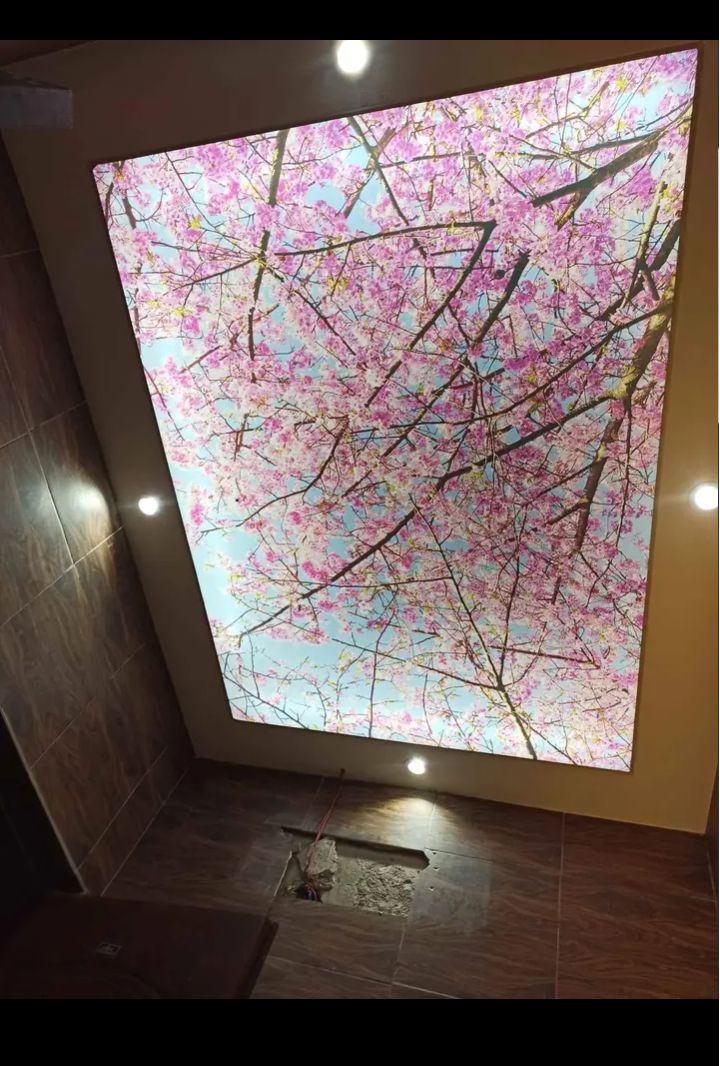 3d stretched ceiling decor  4