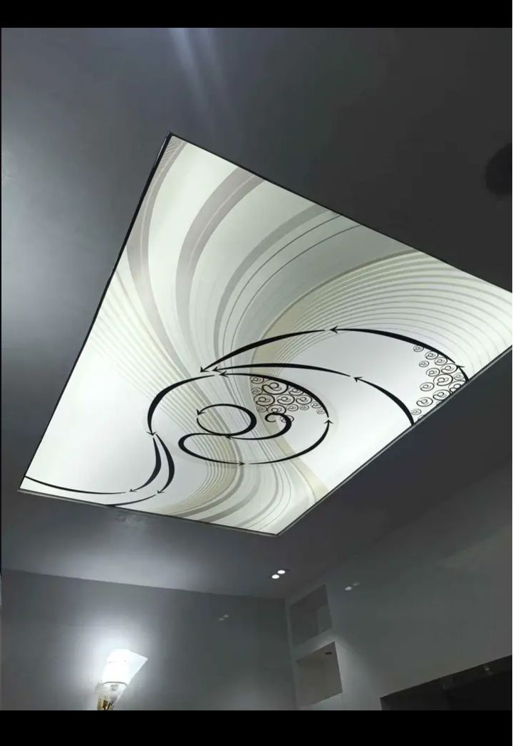 3d stretched ceiling decor  5