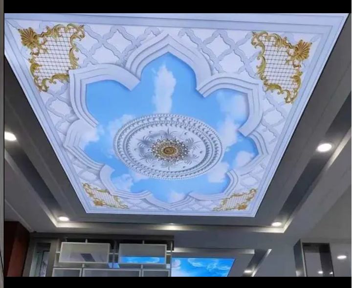 3d stretched ceiling decor  2