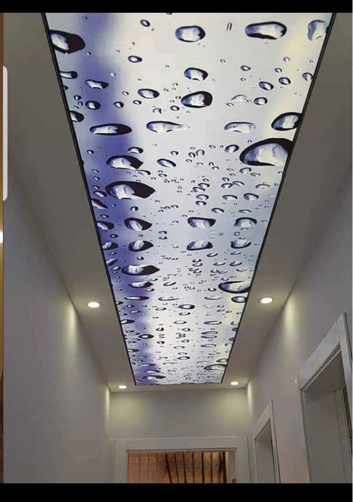 3d stretched ceiling decor  3