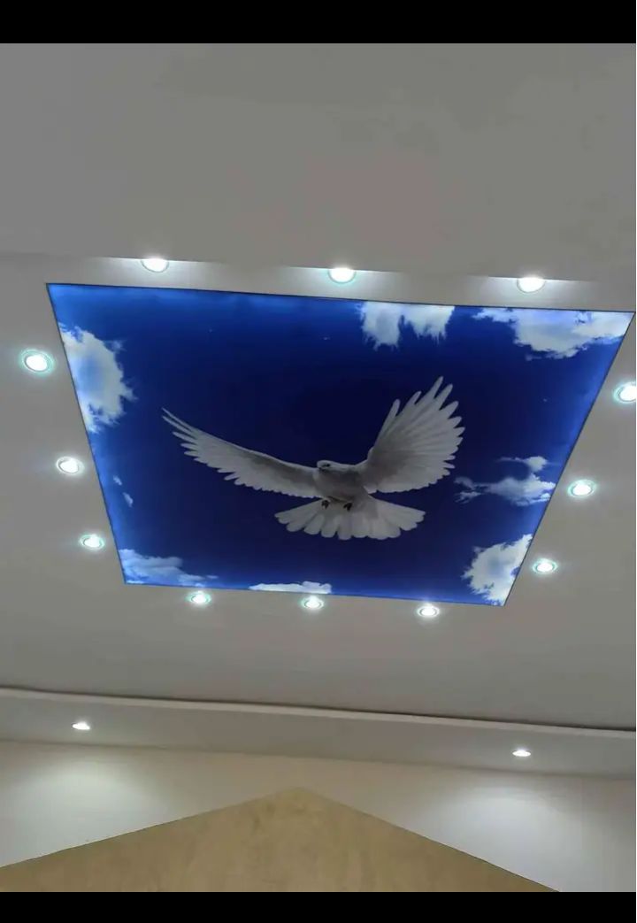 3d stretched ceiling decor 