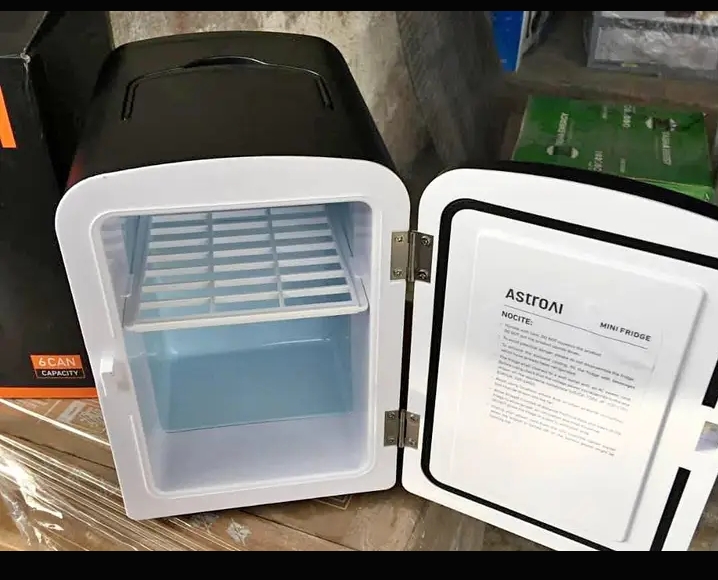 portable mini fridge 