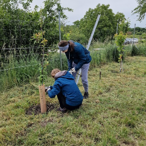 Pomoc pri záchrane Vajnorských vinohradov a okolitej prírody 23.5.2026(sobota)