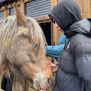 🐎 Poď pomôcť na Ranč Vlčí Grund – Týždeň dobrovoľníctva