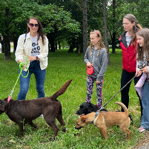 Venčenie psíkov v útulku