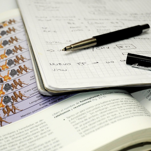 GROWNi project image