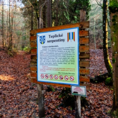 GROWNi project image