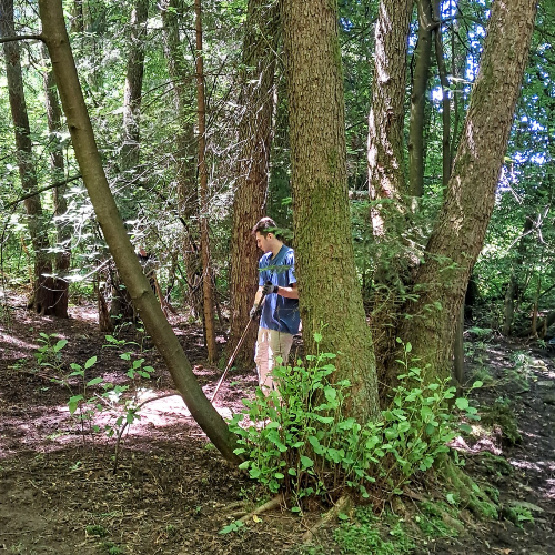 GROWNi project image